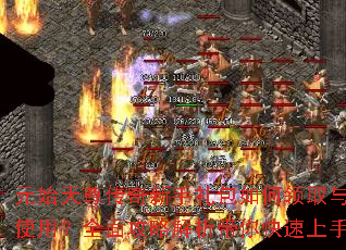 Ԫʼ������������������ȡ��ʹ�ã�ȫ�湥�Խ��������������