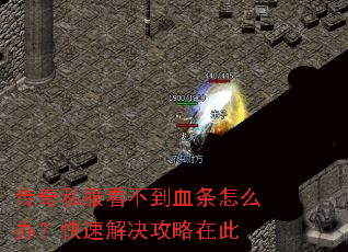 传奇私服看不到血条怎么办?快速解决攻略在此 传奇私服看不到血条怎么办?快速解决攻略在此
