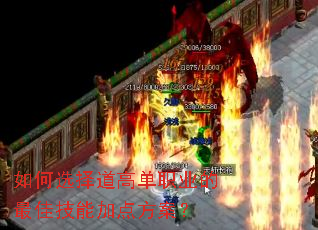 如何选择道高单职业的最佳技能加点方案? 如何选择道高单职业的最佳技能加点方案?
