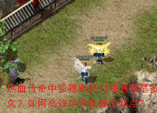 热血传奇中狐狸刷新时间间隔是多久?如何高效蹲守狐狸刷新点? 热血传奇中狐狸刷新时间间隔是多久?如何高效蹲守狐狸刷新点?