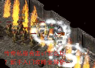 ����˽���ϻ�sf��ô�棿�������Ź���ȫ����