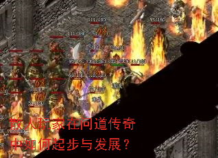 散人玩家在问道传奇中如何起步与发展? 散人玩家在问道传奇中如何起步与发展?