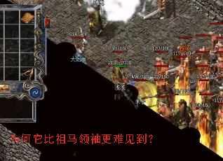 为何它比祖马领袖更难见到? 为何它比祖马领袖更难见到?