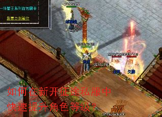 如何在新开征途私服中快速提升角色等级? 如何在新开征途私服中快速提升角色等级?