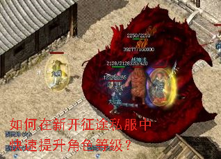 如何在新开征途私服中快速提升角色等级? 如何在新开征途私服中快速提升角色等级?