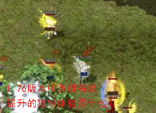 1.76版本中英雄等级提升的独特体验是什么? 1.76版本中英雄等级提升的独特体验是什么?