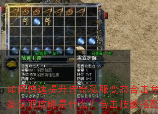 如何快速提升传奇私服变态合击角色战力?顶级装备获取攻略是什么?合击技能搭配有哪些技巧? 如何快速提升传奇私服变态合击角色战力?顶级装备获取攻略是什么?合击技能搭配有哪些技巧?
