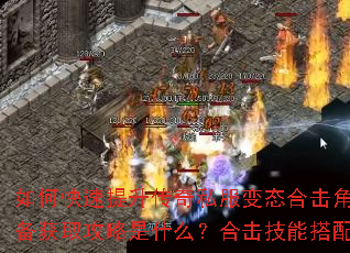 如何快速提升传奇私服变态合击角色战力?顶级装备获取攻略是什么?合击技能搭配有哪些技巧? 如何快速提升传奇私服变态合击角色战力?顶级装备获取攻略是什么?合击技能搭配有哪些技巧?