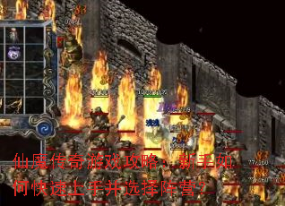 仙魔传奇游戏攻略:新手如何快速上手并选择阵营? 仙魔传奇游戏攻略:新手如何快速上手并选择阵营?
