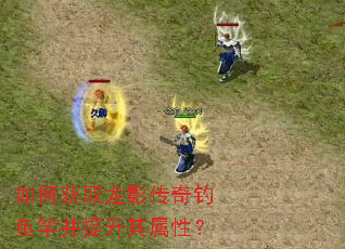如何获取龙影传奇钓鱼竿并提升其属性? 如何获取龙影传奇钓鱼竿并提升其属性?