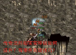 传奇法师招宝宝等级如何提升?有哪些高效技巧? 传奇法师招宝宝等级如何提升?有哪些高效技巧?