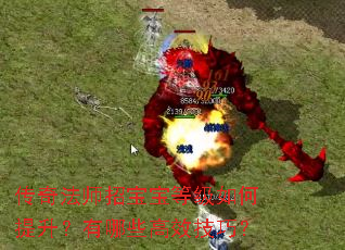 传奇法师招宝宝等级如何提升?有哪些高效技巧? 传奇法师招宝宝等级如何提升?有哪些高效技巧?
