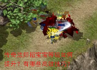 传奇法师招宝宝等级如何提升?有哪些高效技巧? 传奇法师招宝宝等级如何提升?有哪些高效技巧?