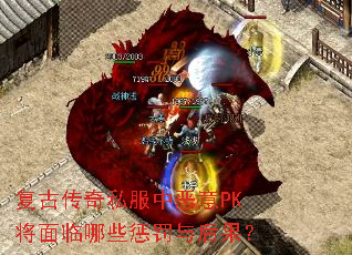 ���Ŵ���˽���ж���PK��������Щ�ͷ�������