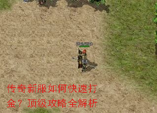 传奇新服如何快速打金?顶级攻略全解析 传奇新服如何快速打金?顶级攻略全解析