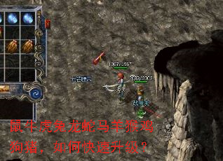 鼠牛虎兔龙蛇马羊猴鸡狗猪,如何快速升级? 鼠牛虎兔龙蛇马羊猴鸡狗猪,如何快速升级?