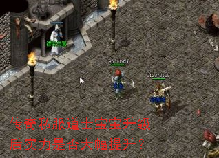传奇私服道士宝宝升级后实力是否大幅提升? 传奇私服道士宝宝升级后实力是否大幅提升?