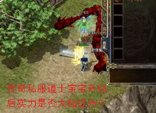 传奇私服道士宝宝升级后实力是否大幅提升? 传奇私服道士宝宝升级后实力是否大幅提升?