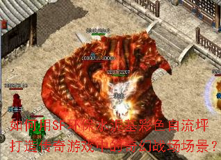 �����SF����ˮ�����ɫ����ƺ���촫����Ϸ�е����ս��������