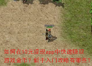 如何在10元提现app中快速赚取游戏金币?新手入门攻略有哪些? 如何在10元提现app中快速赚取游戏金币?新手入门攻略有哪些?