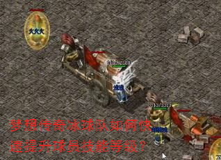���봫��������ο���������Ա���ܵȼ���