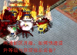 网通新区开服,如何快速提升等级与获取极品装备? 网通新区开服,如何快速提升等级与获取极品装备?