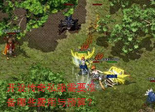 开设传奇私服需要准备哪些费用与预算? 开设传奇私服需要准备哪些费用与预算?