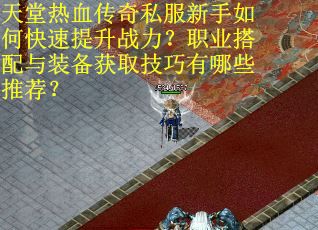 天堂热血传奇私服新手如何快速提升战力？职业搭配与装备获取技巧有哪些推荐？