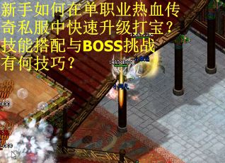 新手如何在单职业热血传奇私服中快速升级打宝？技能搭配与BOSS挑战有何技巧？
