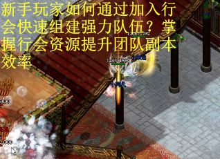 新手玩家如何通过加入行会快速组建强力队伍？掌握行会资源提升团队副本效率