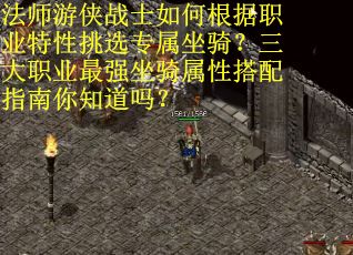 法师游侠战士如何根据职业特性挑选专属坐骑？三大职业最强坐骑属性搭配指南你知道吗？
