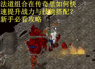 法道组合在传奇里如何快速提升战力与技能搭配？新手必看攻略