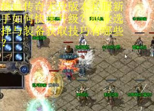 热血传奇无敌版本私服新手如何快速升级？职业选择与装备获取技巧有哪些？