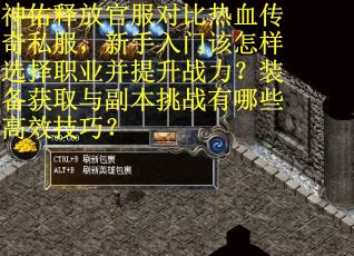 神佑释放官服对比热血传奇私服，新手入门该怎样选择职业并提升战力？装备获取与副本挑战有哪些高效技巧？