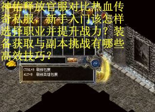 神佑释放官服对比热血传奇私服，新手入门该怎样选择职业并提升战力？装备获取与副本挑战有哪些高效技巧？