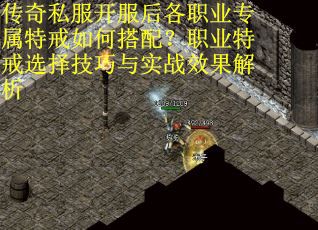 传奇私服开服后各职业专属特戒如何搭配？职业特戒选择技巧与实战效果解析
