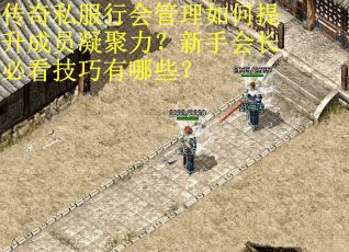 传奇私服行会管理如何提升成员凝聚力？新手会长必看技巧有哪些？