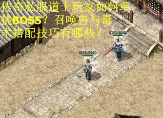 传奇私服道士玩家如何单挑BOSS？召唤兽与毒术搭配技巧有哪些？