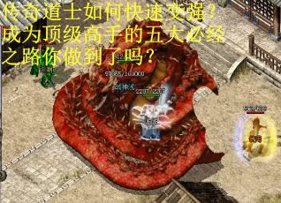 传奇道士如何快速变强？成为顶级高手的五大必经之路你做到了吗？