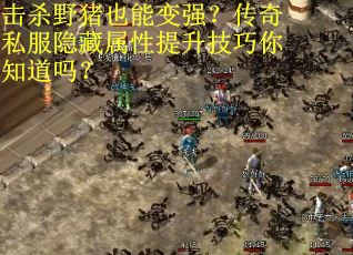 击杀野猪也能变强?传奇私服隐藏属性提升技巧你知道吗?