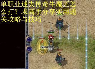 单职业迷失传奇牛魔王怎么打？求高手分享实用通关攻略与技巧