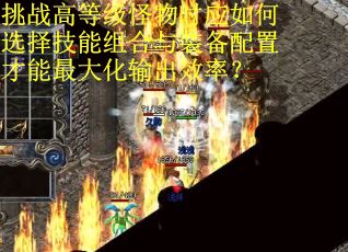 挑战高等级怪物时应如何选择技能组合与装备配置才能最大化输出效率?