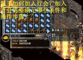 新手如何加入行会?加入行会需要满足哪些条件和操作步骤?