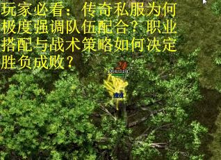 玩家必看:传奇私服为何极度强调队伍配合?职业搭配与战术策略如何决定胜负成败?