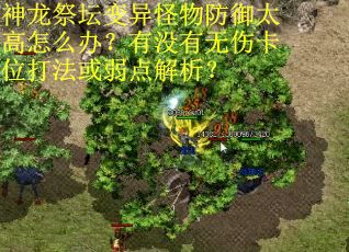 神龙祭坛变异怪物防御太高怎么办?有没有无伤卡位打法或弱点解析?