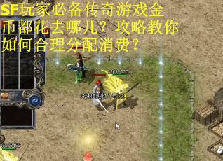 SF玩家必备传奇游戏金币都花去哪儿？攻略教你如何合理分配消费？