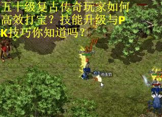 五十级复古传奇玩家如何高效打宝？技能升级与PK技巧你知道吗？
