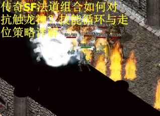 传奇SF法道组合如何对抗触龙神？技能循环与走位策略详解