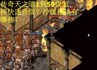 传奇天之道1到50级怎样快速升级？冲级秘诀有哪些？