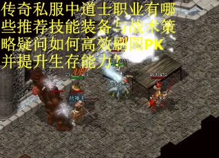 传奇私服中道士职业有哪些推荐技能装备与战术策略疑问如何高效刷图PK并提升生存能力？